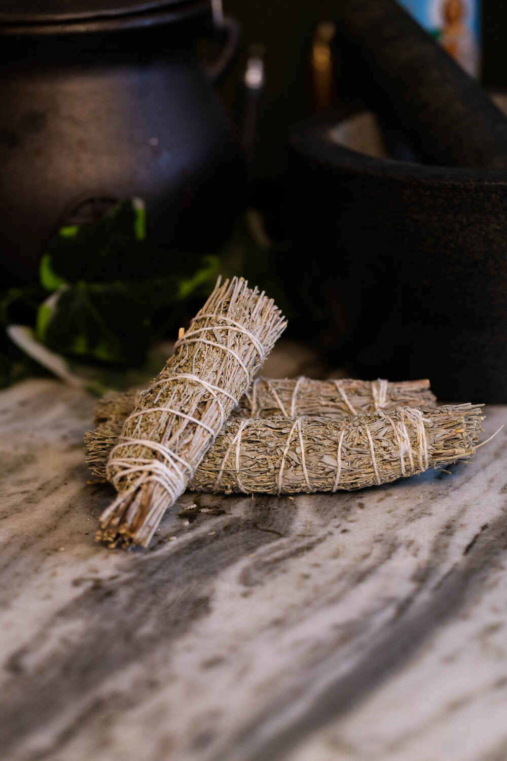 Myrrh Resin Dipped Mountain Sage Herbal Bundle